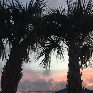 Meet your Posher, Aileen